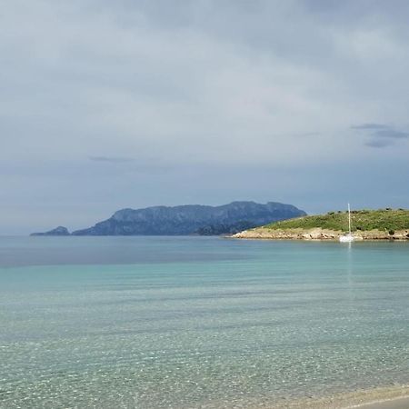 La Dolce Dimora Daire Olbia Dış mekan fotoğraf