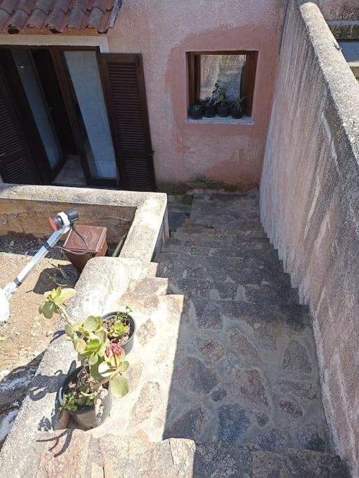La Dolce Dimora Daire Olbia Dış mekan fotoğraf