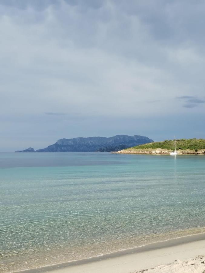 La Dolce Dimora Daire Olbia Dış mekan fotoğraf